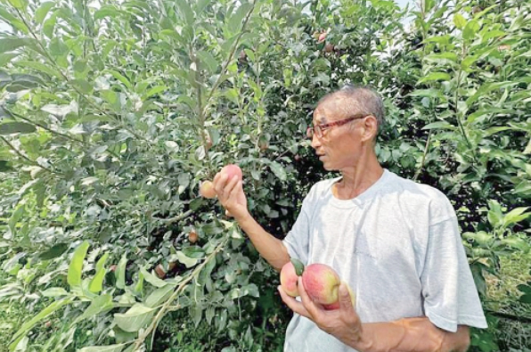 从田间到“云端” 三位“老把式”玩转新农具