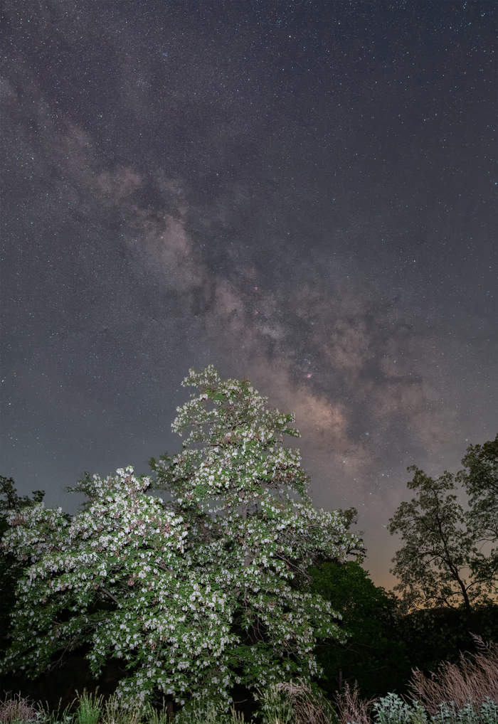 泉城之上的浩瀚星空 济南摄影爱好者记录泉城“槐花银河”