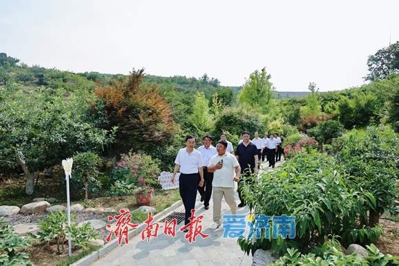 城“新”乡“兴”向未来｜走进莱芜区：红绿交融的乡村振兴之路