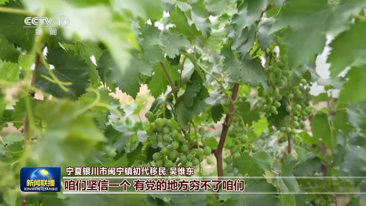 新思想引领新征程丨山海携手 书写东西部协作崭新篇章
