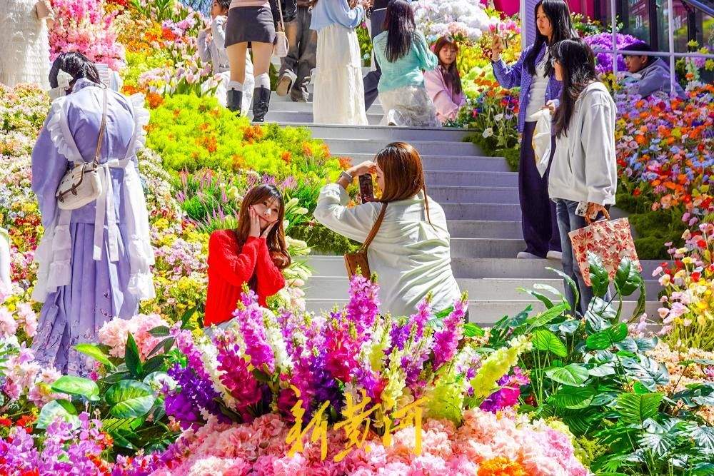 济南老商埠露天楼梯变身“彩虹花海”,网红打卡带动地下商场消费