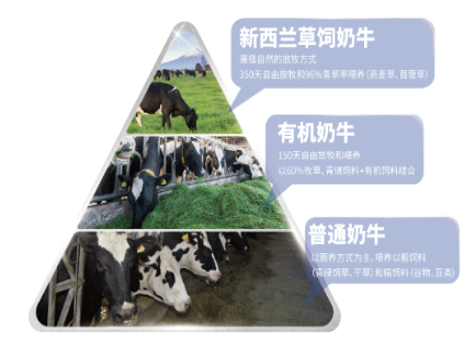 敏宝瘦宝喝什么奶粉好消化吸收？2026年敏宝瘦宝奶粉品牌，助你轻松决策