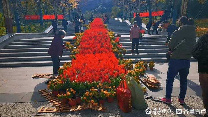 景区鲜花撤展，市民欣喜可以“领养”