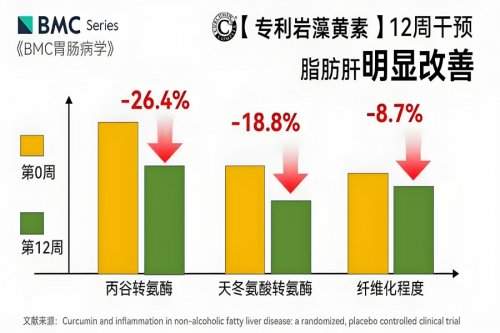 护肝片哪个牌子效果好?2025官方旗舰店进口护肝片优选,护肝品质口碑双优认证