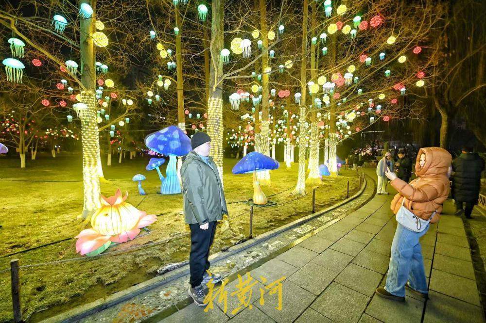泉城年味渐浓 五龙潭花灯悄然点亮