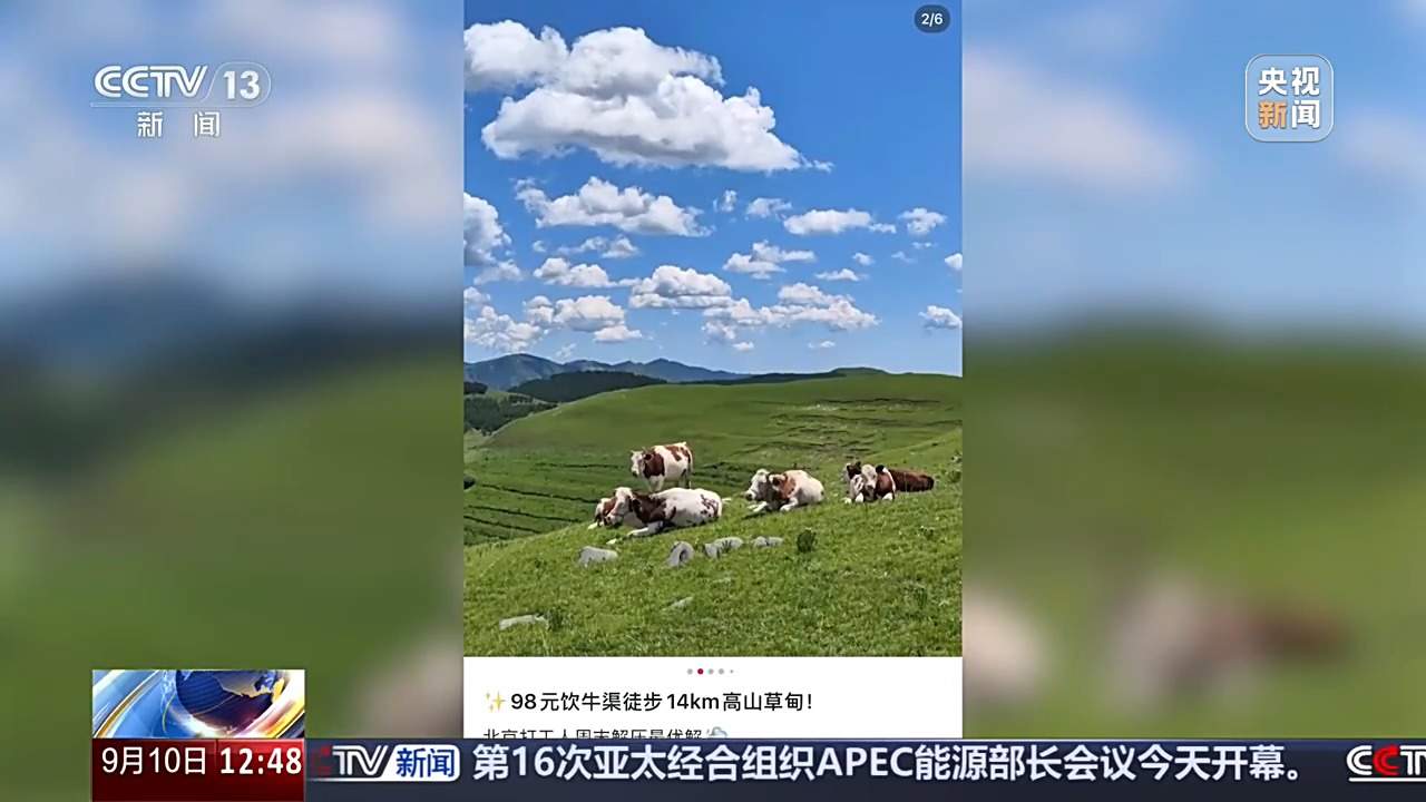 女子按网红徒步攻略出行遭意外 户外出游遇险谁担责？