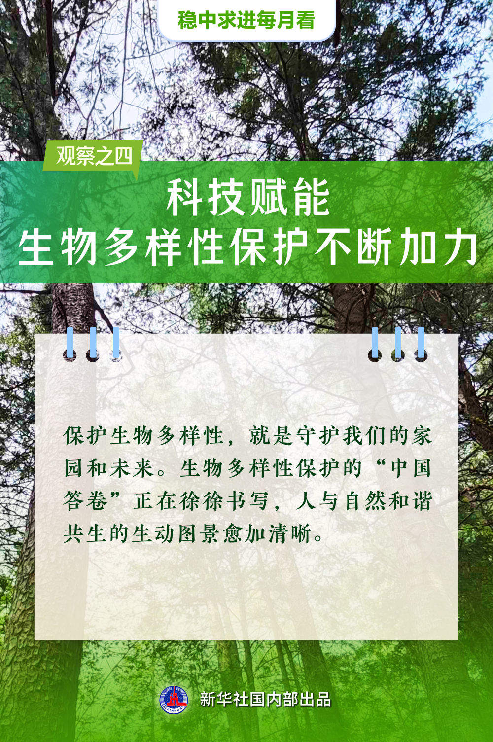 稳舵扬帆正当时——5月全国各地经济社会发展观察