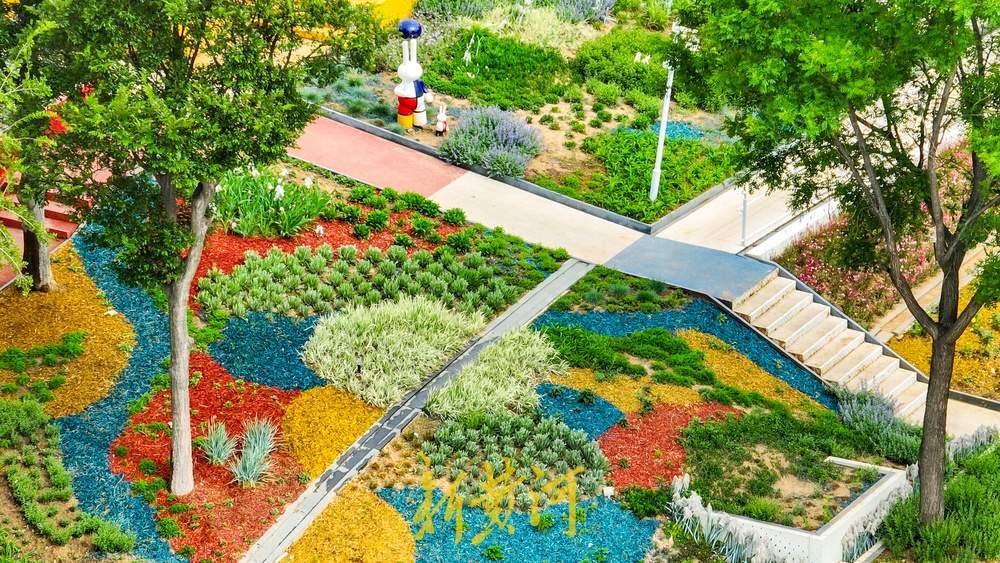 济南这处七彩花田换新装，色彩“拼盘”打造美学空间 