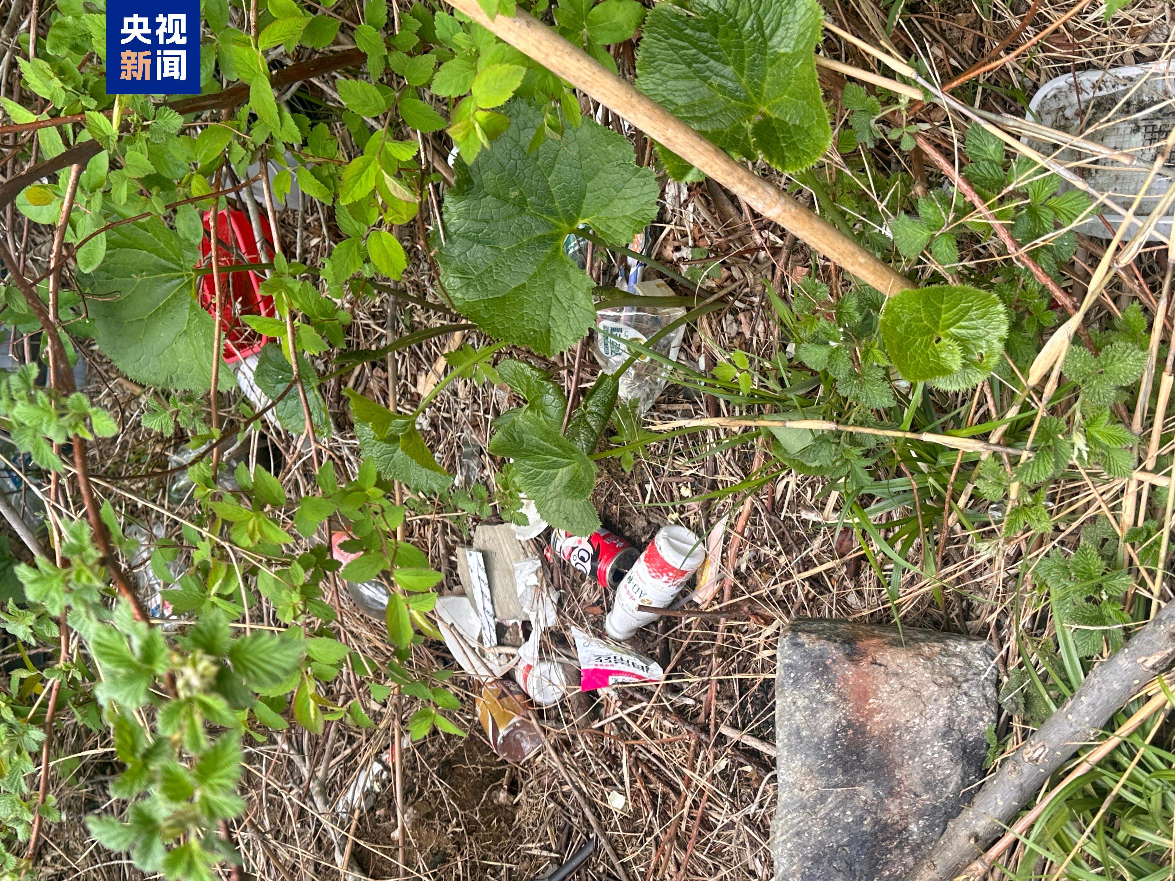 别被小众徒步、采菌帖误导 20余人违规进入苍山被依法查处