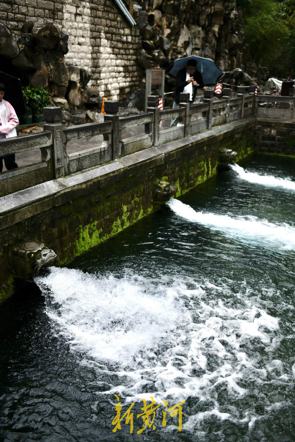 地下水位连涨，泉水漫出泉洞 ，现黑虎泉版“清泉石上流”