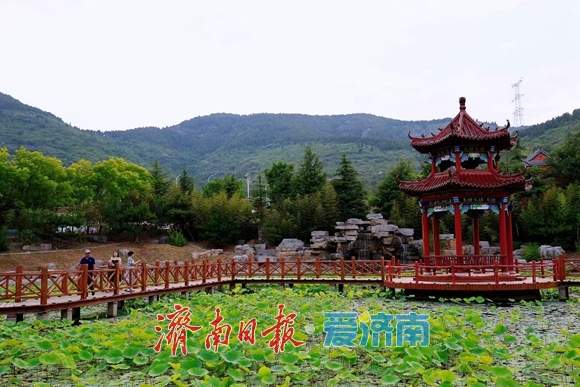 城“新”乡“兴”向未来｜走进钢城区：从“单一”到“多元”，看传统村落的“转型”之路！
