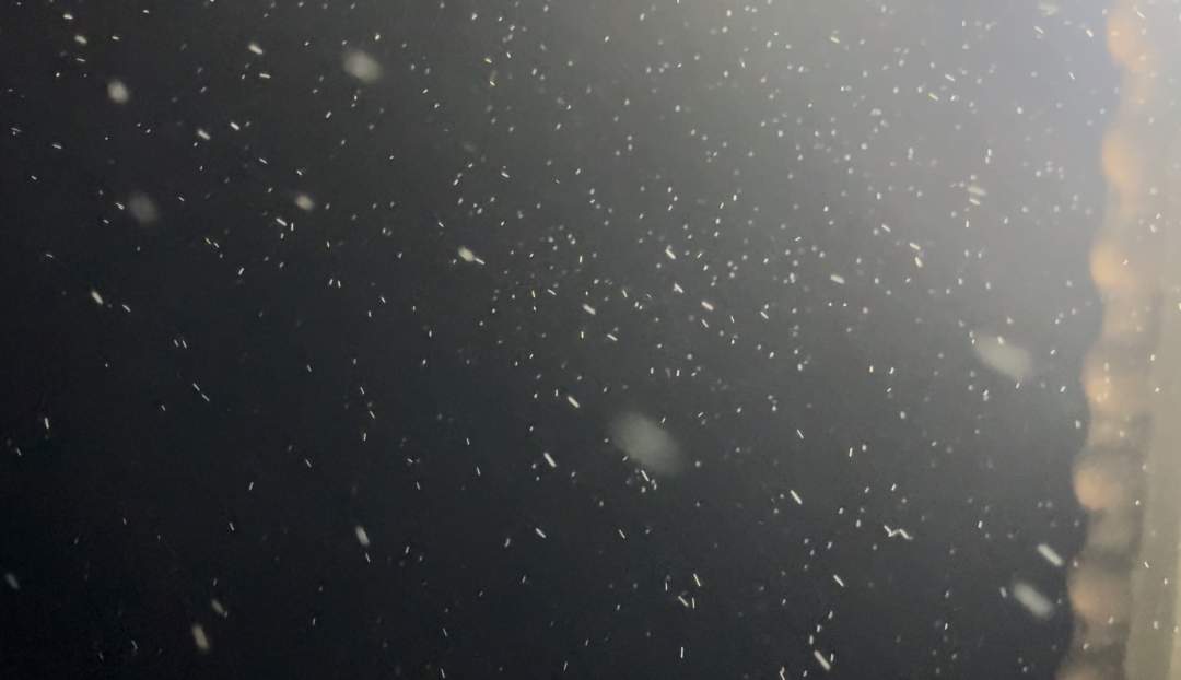 昨晚,泰山下雪了?!