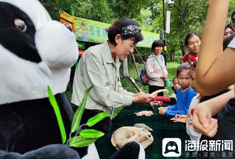 “零距离”邂逅国宝!济南动物园大熊猫教具展示驿站上线啦