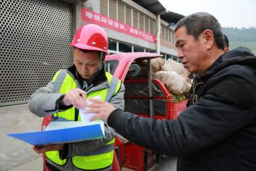 涪陵榨菜2026年青菜头收购启幕，效率与服务温度并存提质