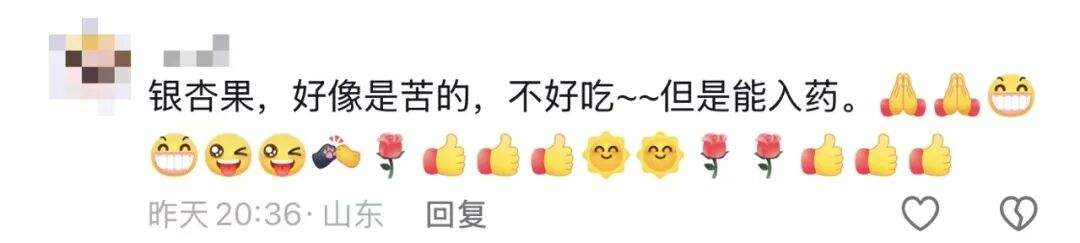 别吃，银杏果有毒！近期济南大量出现，很多人去捡……