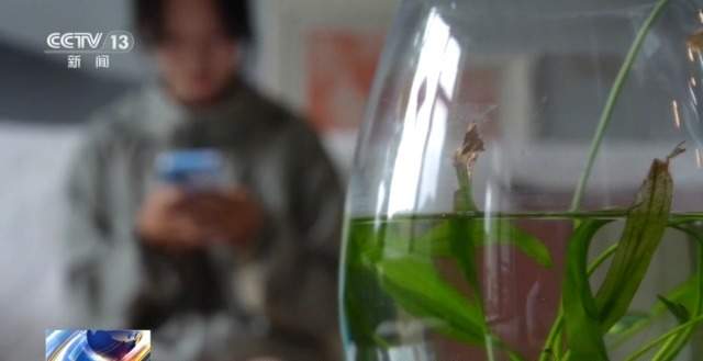 时隔5年“客服”突然来电主动退课程费 警惕新的退费套路