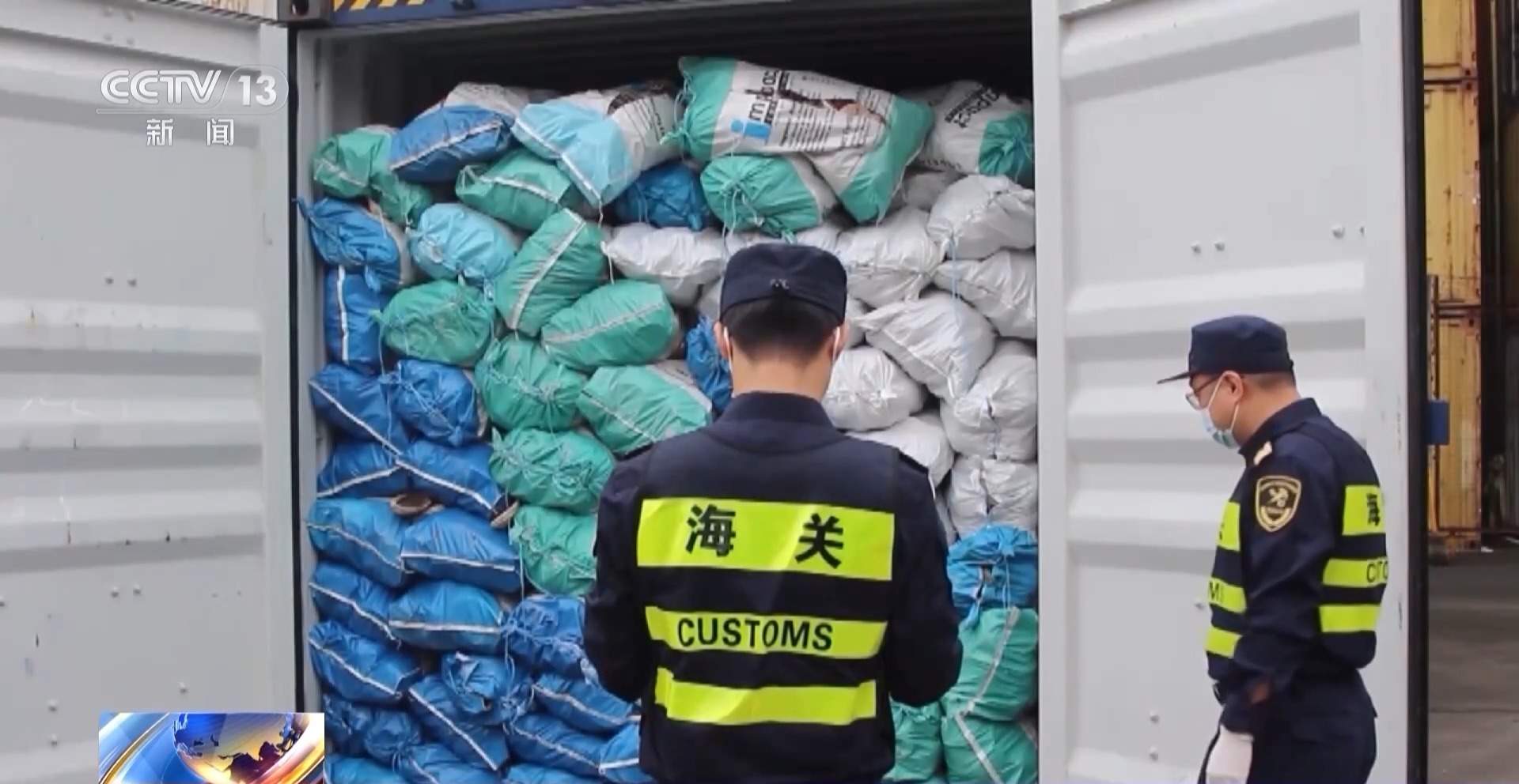 装饰品变成“洋垃圾”？进口近11吨贝壳被罚款50万元