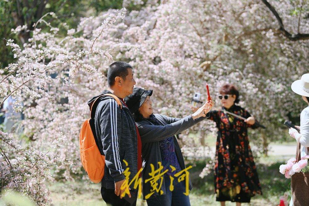 一年四季 泉在济南｜泉城猬实花开引客来