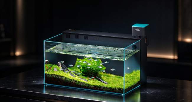 关注水族安全 BESSN（贝森）智能补水器筑牢居家防护线