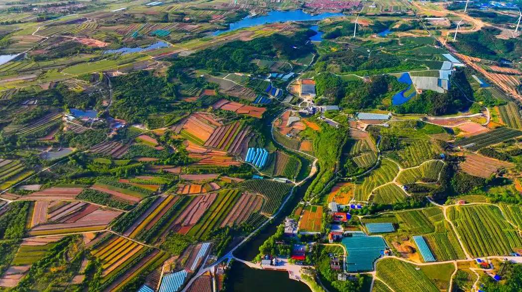 深读报告丨乡村振兴齐鲁样板，如何从“打造”迈向“升级”？