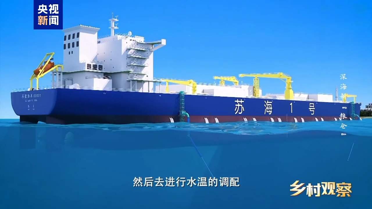 海上“全屋智能”！探访全球首艘三文鱼养殖工船