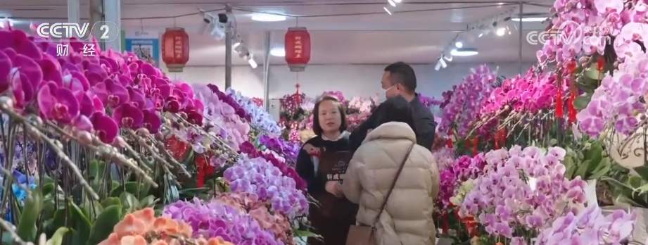 年宵花市开启“抢购模式” 小众品种成“当家花旦”购销两旺