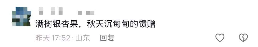 别吃，银杏果有毒！近期济南大量出现，很多人去捡……