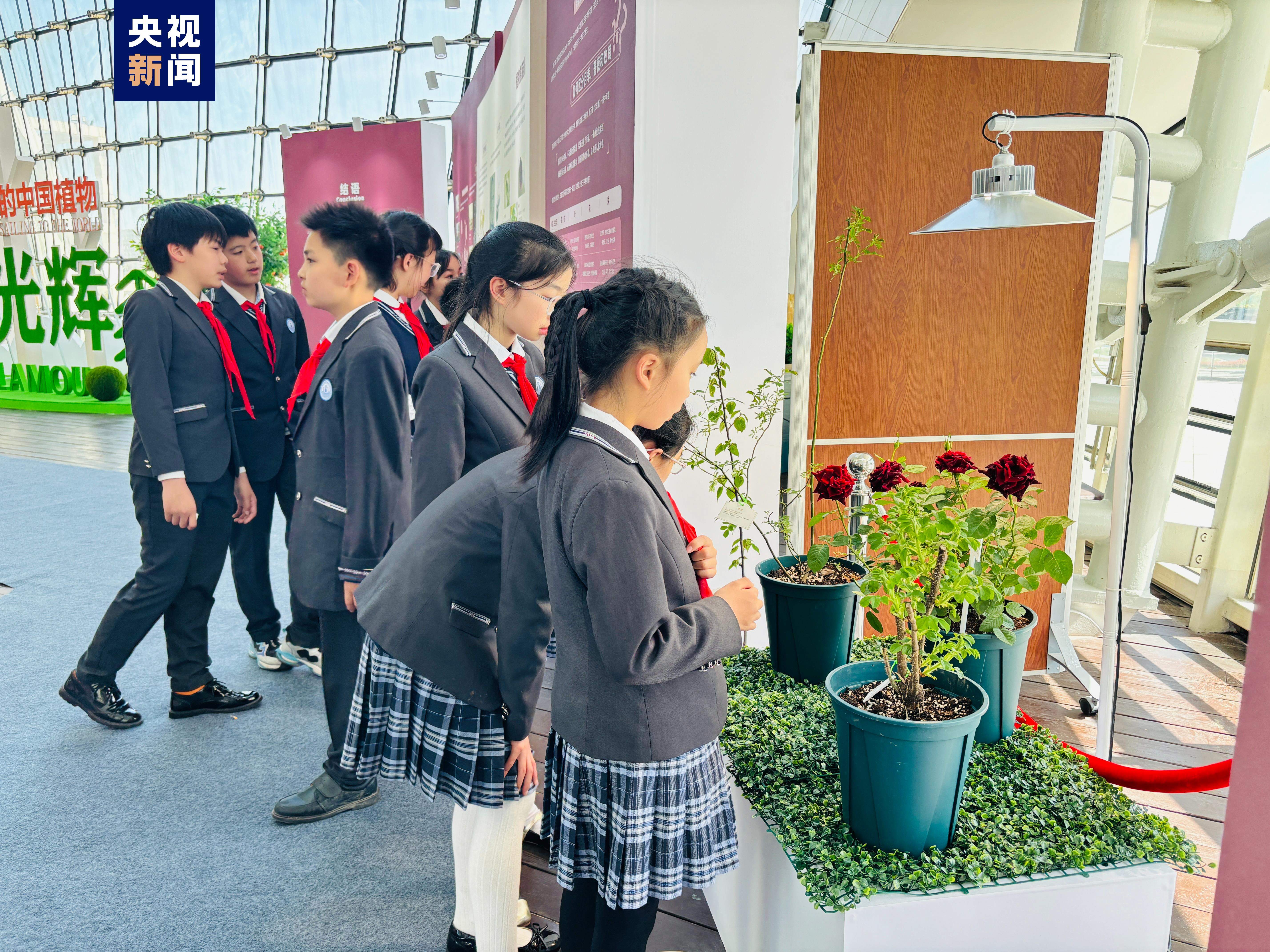 花木、水果、农作物……中国植物如何“航”向世界？