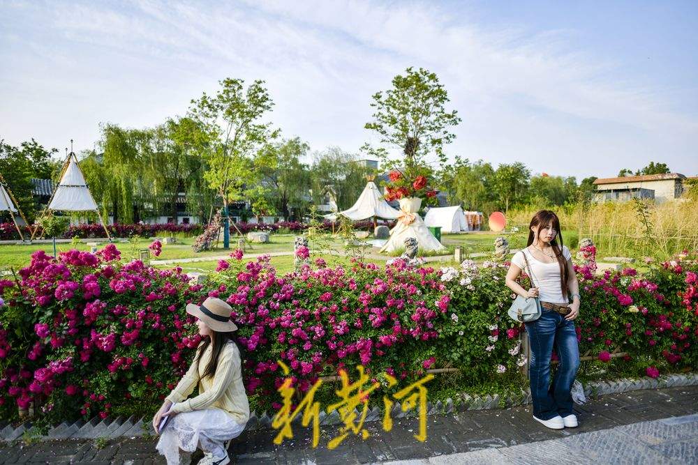 老城区新晋花墙打卡点 解锁初夏古城浪漫