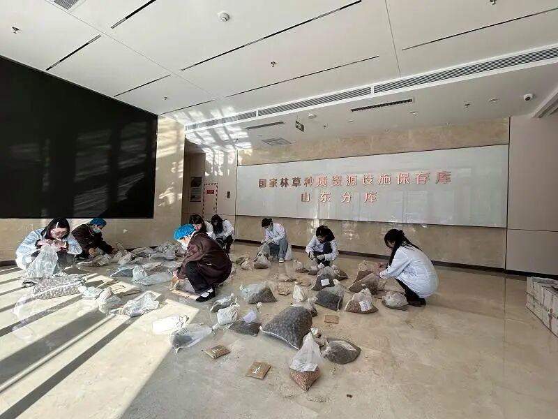 2100余个新品种!创新30年,山东主要农作物良种覆盖率98%以上