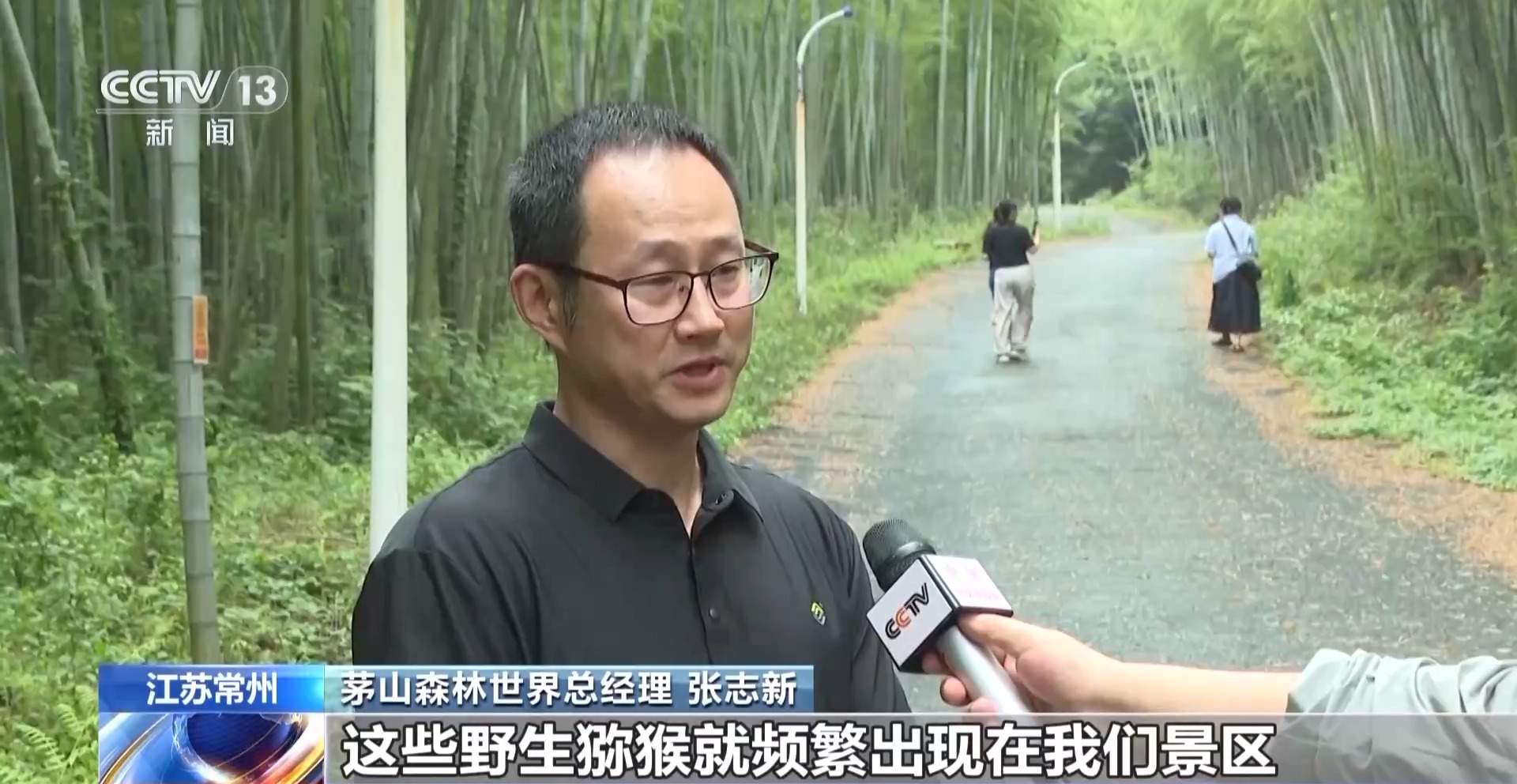 江苏一景区“月均6万元收编泼猴”引关注 “人猴冲突”如何解决?