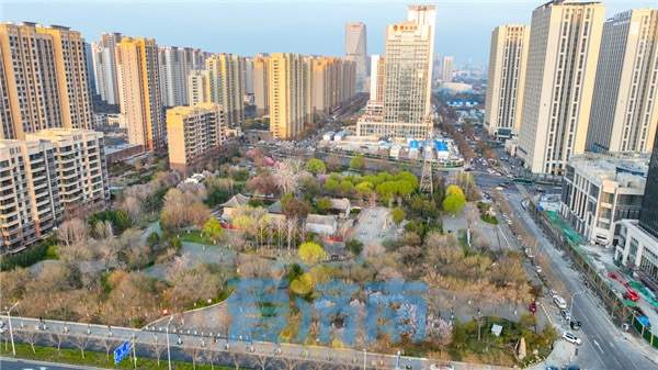 花开“梅”好时节，济南这处社区公园的美藏不住了