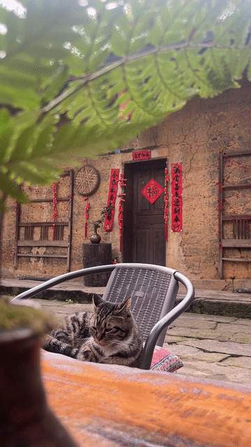 满足新业态 回应新需求——新职业涌现助力高质量发展