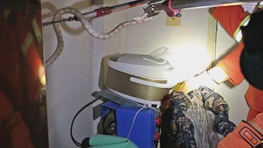 太吓人！深夜，宁波一小区楼道里惊现1.5米长大白蛇！