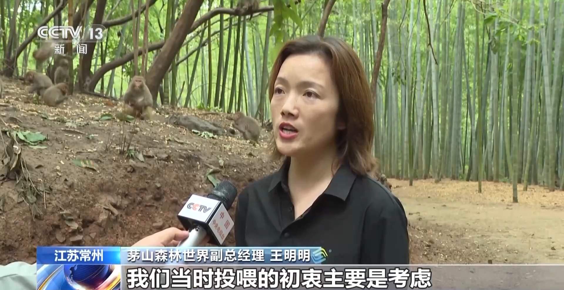 江苏一景区“月均6万元收编泼猴”引关注 “人猴冲突”如何解决?