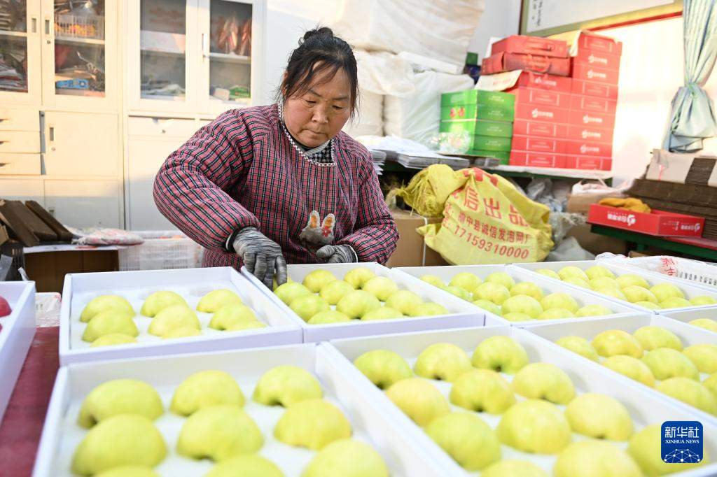 西北小城如何靠“小苹果”撬动大市场？
