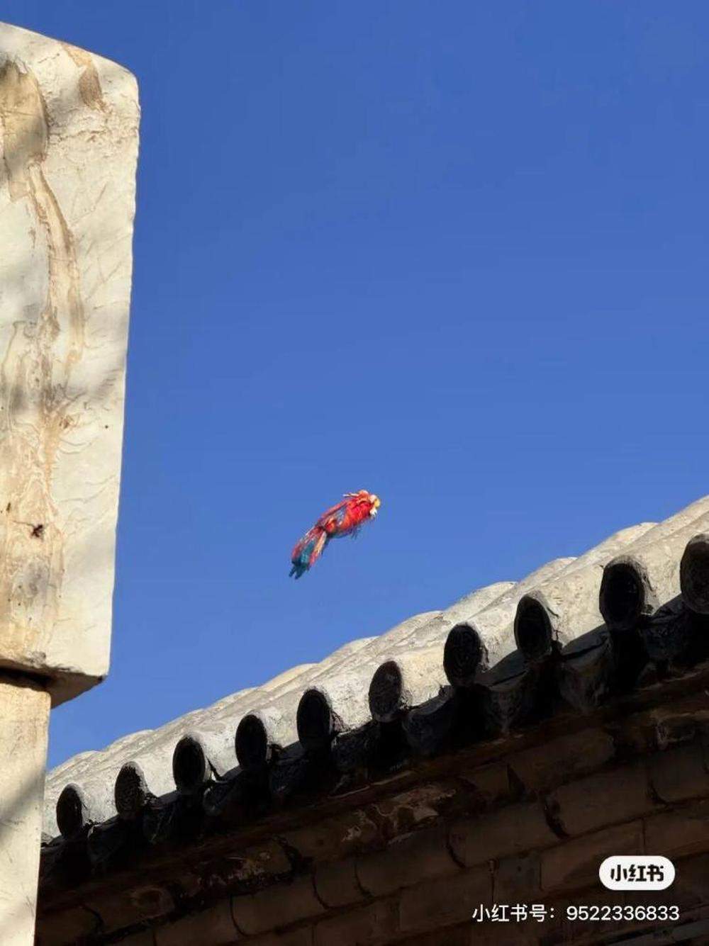 全网都在帮忙盯着,济南被大风吹走的“巨型鳌鱼”到哪了?网友:太有节目了