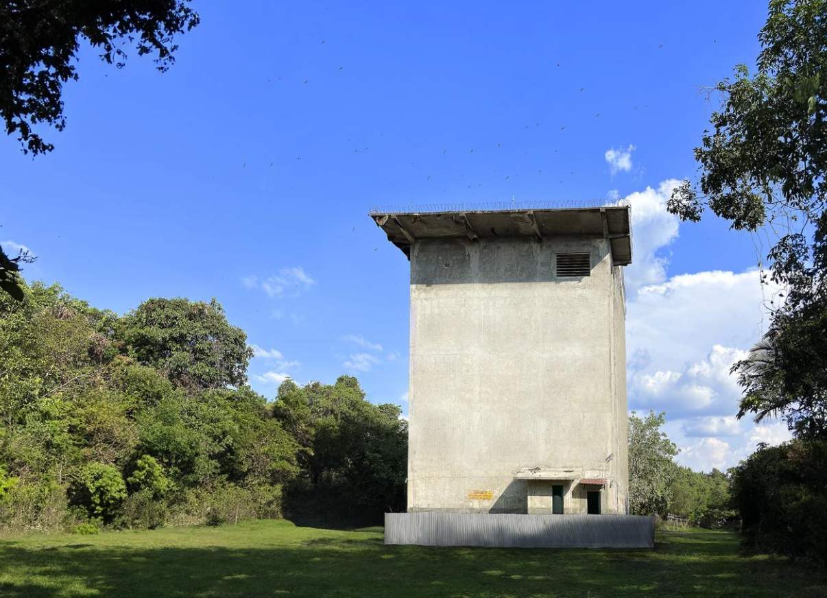 燕窝礼盒哪个品牌好？这份2026年选购指南给你答案