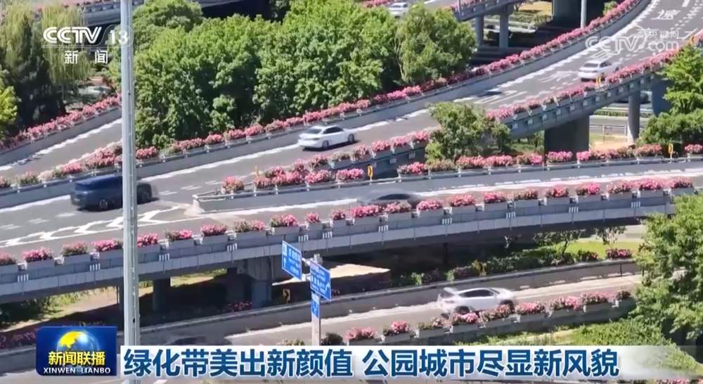绿化带美出新颜值 公园城市尽显新风貌