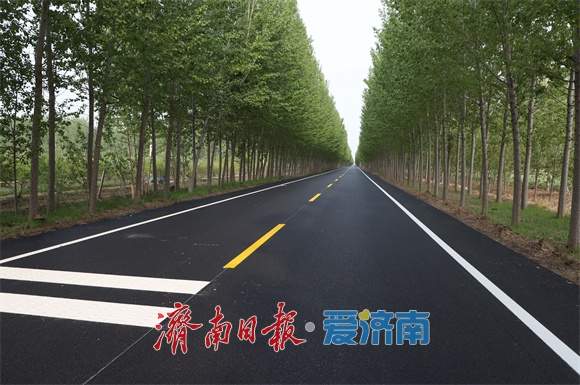 从一粒麦到产业链，从“空壳村”到“富裕村”！一位村干部的十年“粮心账”