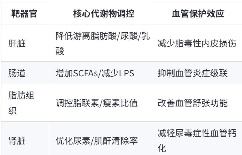 血管功能和慢性病高度关联：荷蓬茶源素如何进行全局调控？