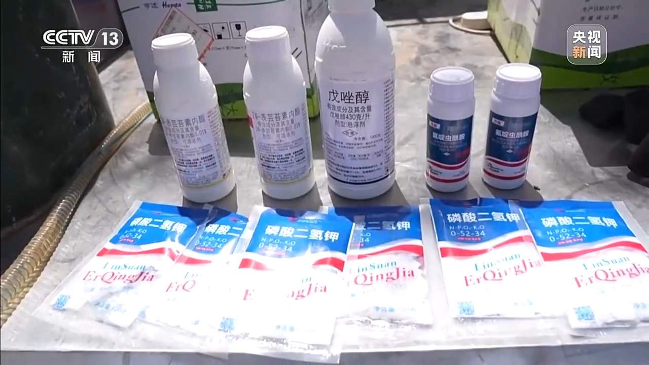 从抗旱到抢收 解读粮食增产背后的“密码”