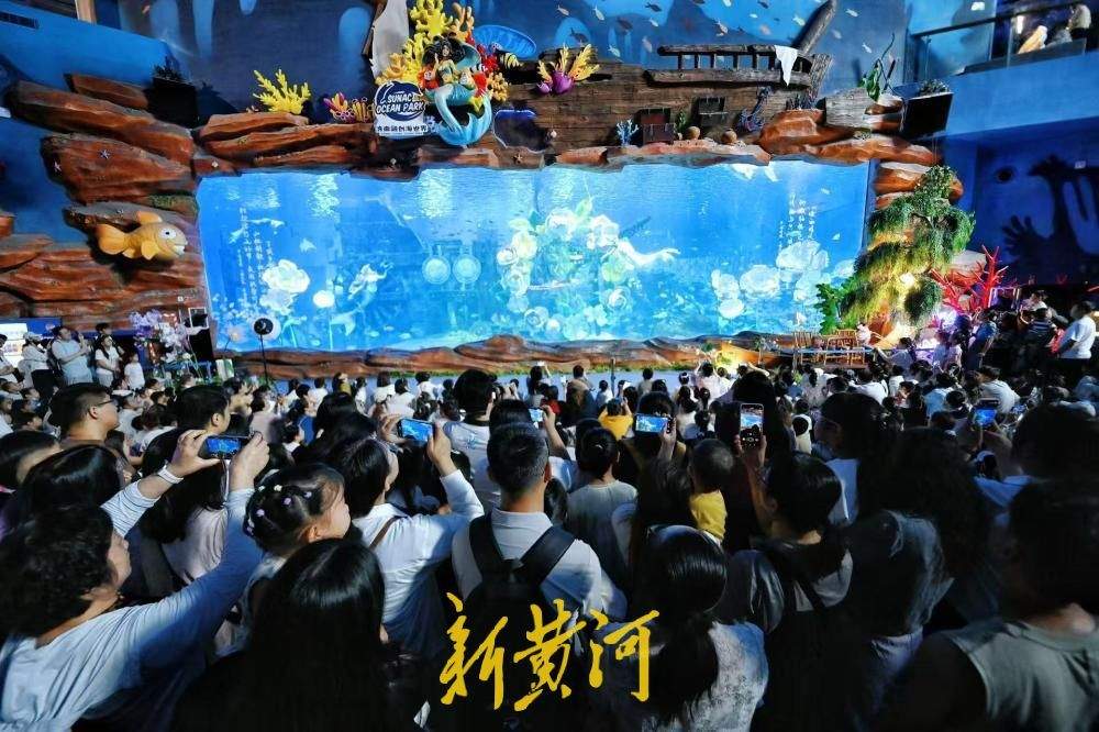 “六一”遇酷暑 济南融创海世界成亲子避暑地 人鱼表演人气爆棚
