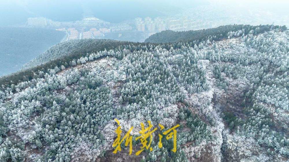 【网络中国节·春节】“泉”在济南过大年｜佛慧山银装素裹，山顶呈现雾凇奇观