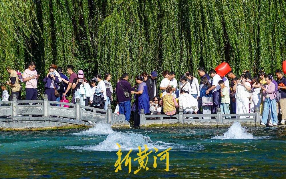 五泉齐涌如梅绽，国庆假期百脉泉公园梅花泉盛涌迎客