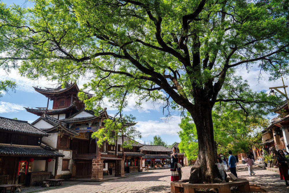 镜观·回响｜与古为新 文脉绵长