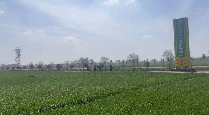 从 “育好种” 到 “强产业”：济南绘就北方种业之都高质量发展新图景