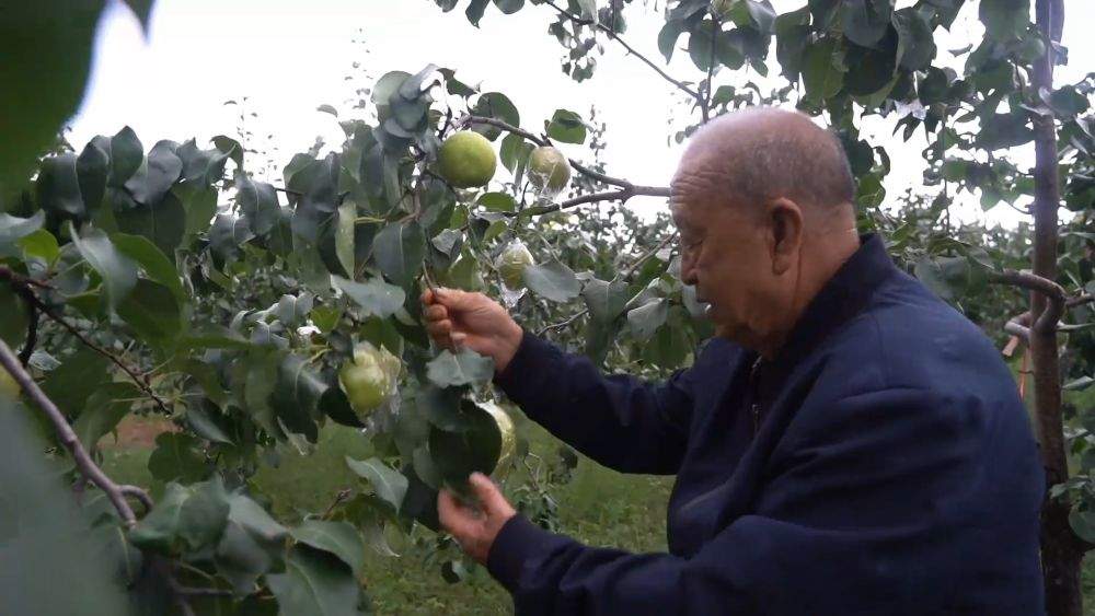 金秋丰收绘新景 乡村振兴谱华章