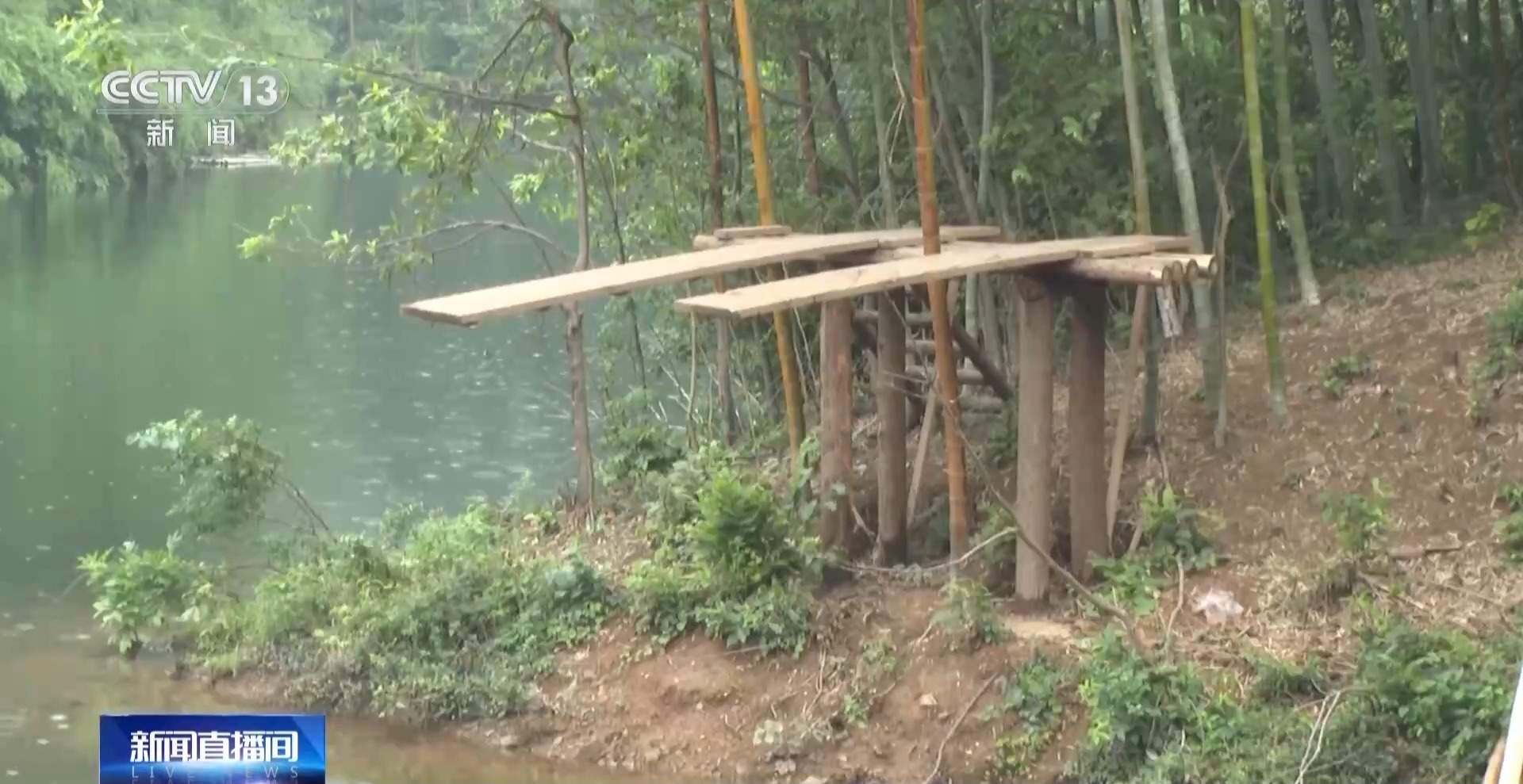 江苏一景区“月均6万元收编泼猴”引关注 “人猴冲突”如何解决?