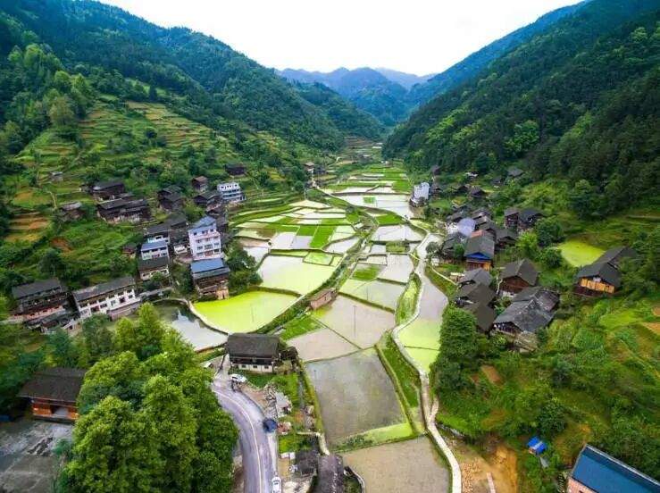 “红事12元，白事20元”，一村寨十年坚持超低礼金，按1斤猪肉定的价